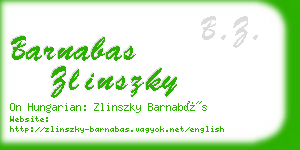 barnabas zlinszky business card